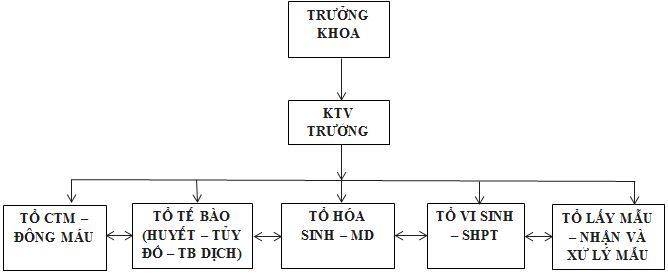 MÔ HÌNH CÁNH TAY THỰC HÀNH TIÊM TRUYỀN TĨNH MẠCH VÀ LẤY MẪU MÁU AR251